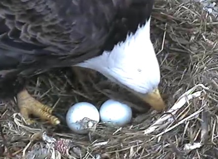 ScreenHunter_18 Feb. 21 10.59.jpg